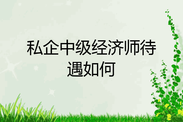 私企中级经济师待遇如何
