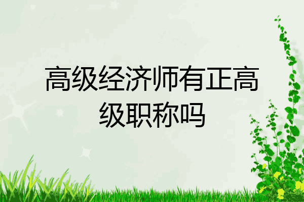 高级经济师有正高级职称吗