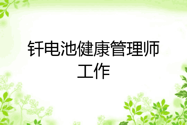钎电池健康管理师工作