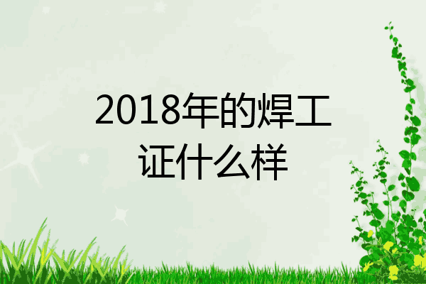 2018年的焊工证什么样