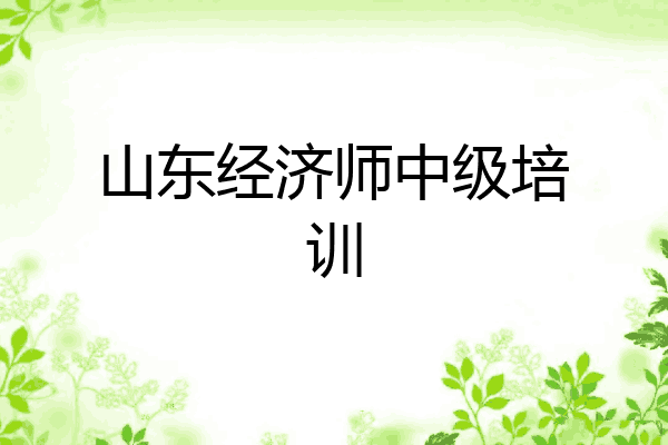 山东经济师中级培训