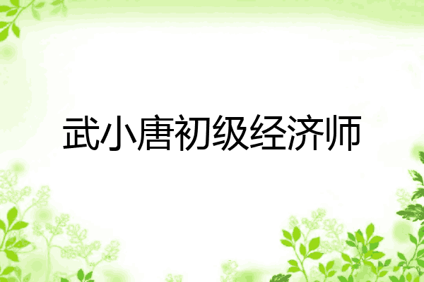 武小唐初级经济师