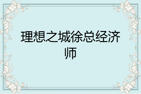理想之城徐总经济师