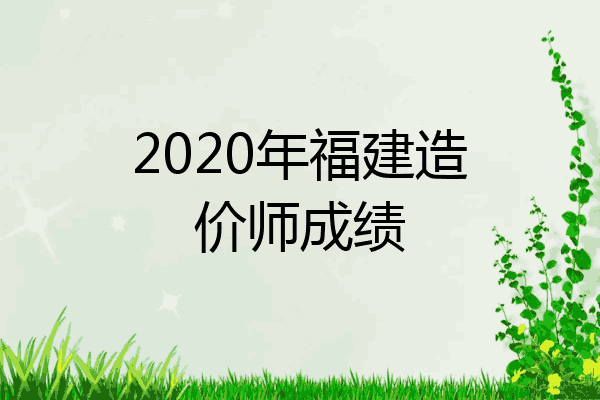 2020年福建造价师成绩