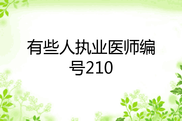 有些人执业医师编号210