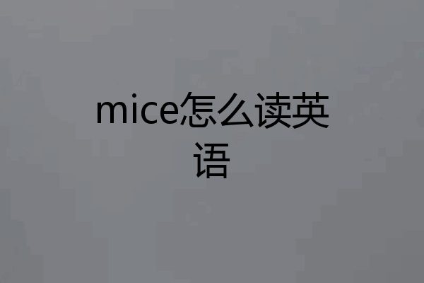 mice怎么读英语