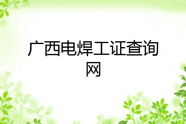 广西电焊工证查询网