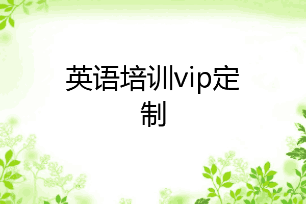 英语培训vip定制