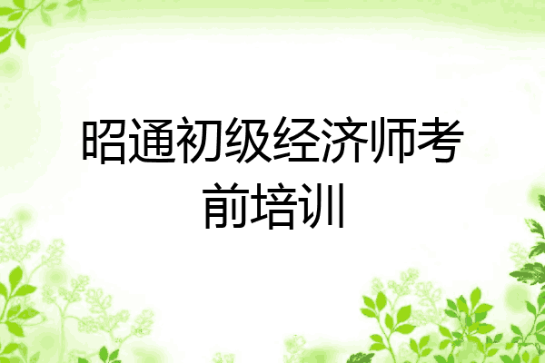 昭通初级经济师考前培训