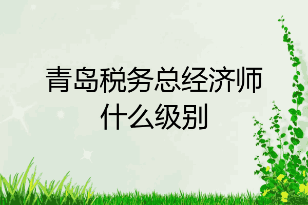 青岛税务总经济师什么级别
