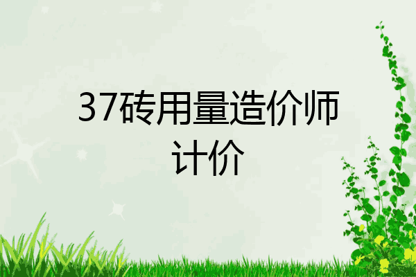 37砖用量造价师计价