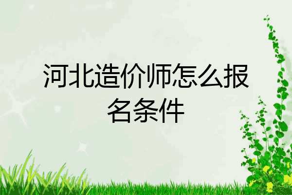 河北造价师怎么报名条件