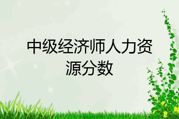 中级经济师人力资源分数