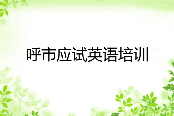 呼市应试英语培训