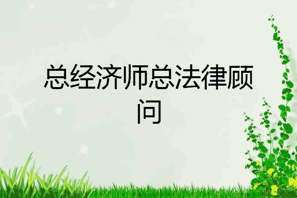 总经济师总法律顾问