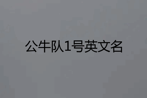 公牛队1号英文名