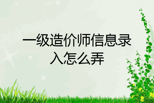 一级造价师信息录入怎么弄