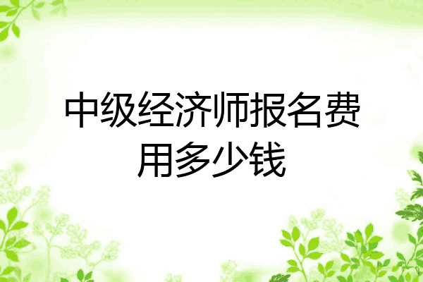 中级经济师报名费用多少钱