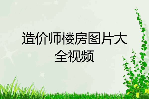 造价师楼房图片大全视频