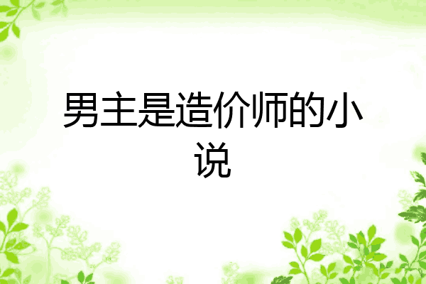 男主是造价师的小说