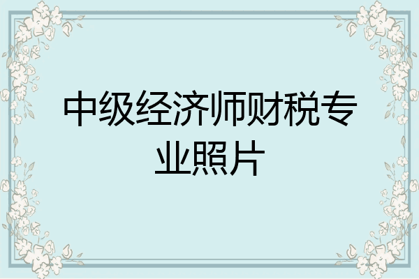 中级经济师财税专业照片