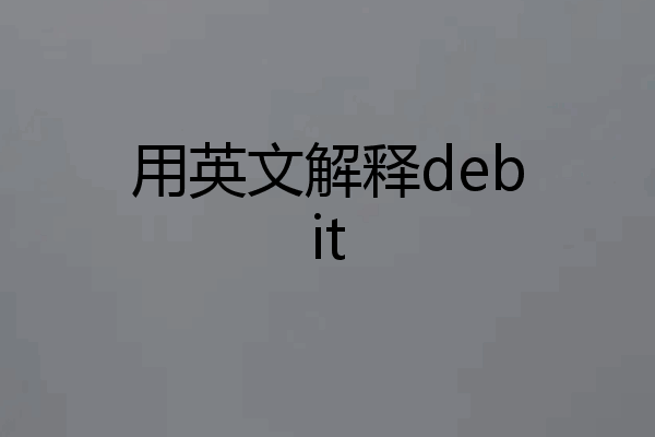 用英文解释debit
