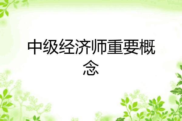 中级经济师重要概念