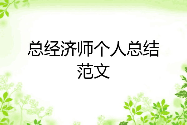 总经济师个人总结范文