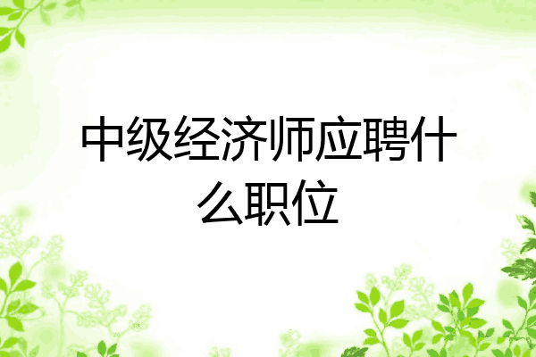 中级经济师应聘什么职位