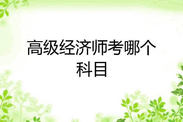 高级经济师考哪个科目