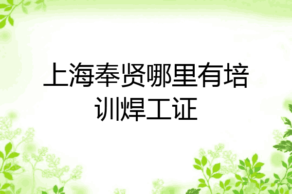 上海奉贤哪里有培训焊工证