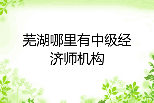 芜湖哪里有中级经济师机构