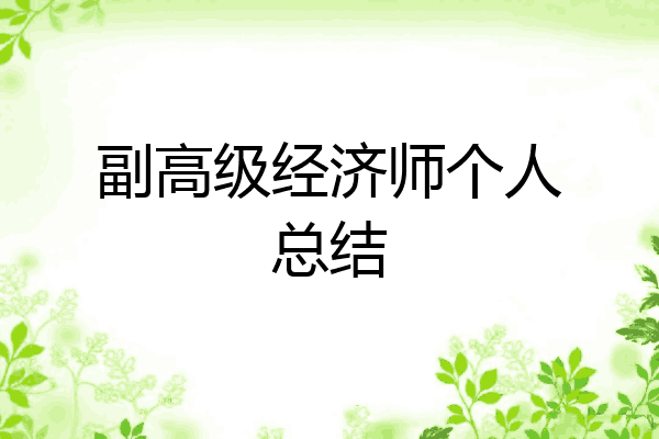 副高级经济师个人总结