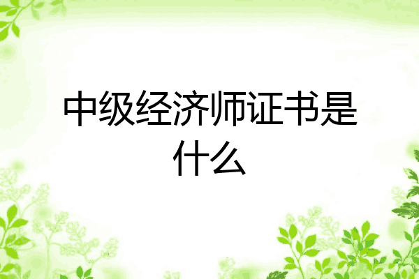 中级经济师证书是什么