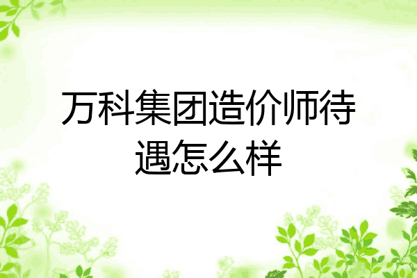 万科集团造价师待遇怎么样