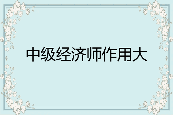 中级经济师作用大