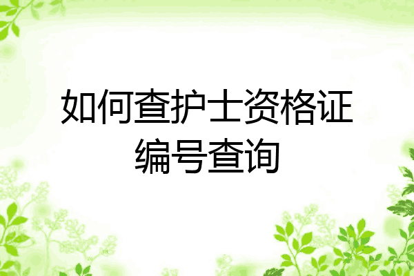 如何查护士资格证编号查询