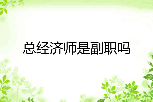 总经济师是副职吗