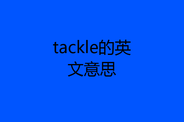 tackle的英文意思