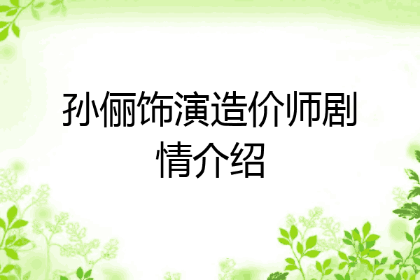 孙俪饰演造价师剧情介绍