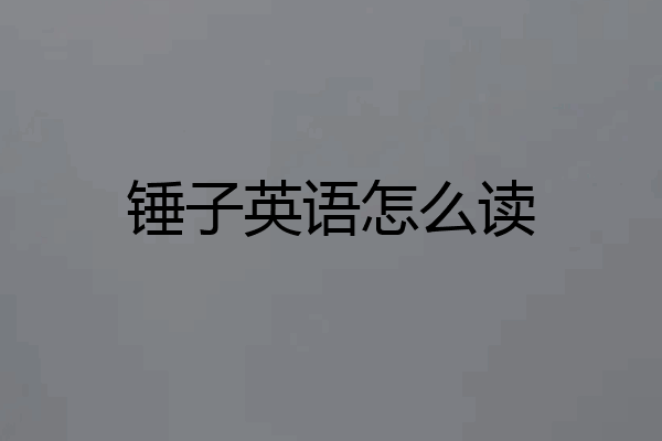 锤子英语怎么读