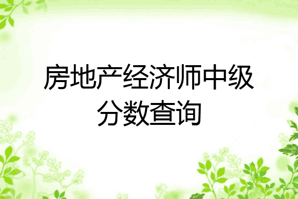 房地产经济师中级分数查询