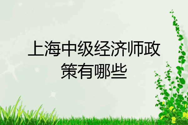 上海中级经济师政策有哪些