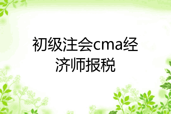 初级注会cma经济师报税