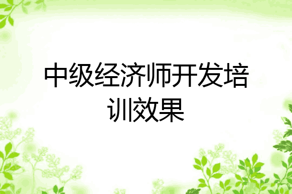 中级经济师开发培训效果