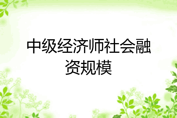 中级经济师社会融资规模