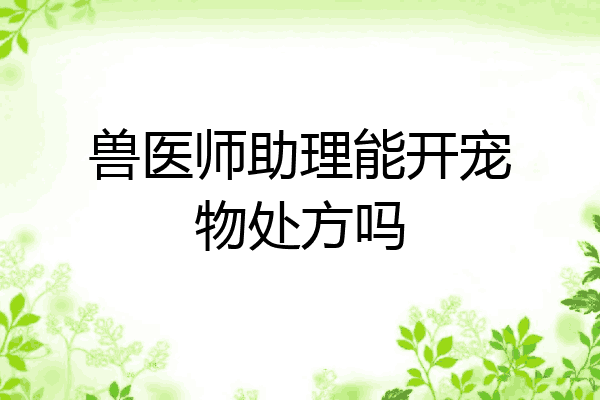 兽医师助理能开宠物处方吗