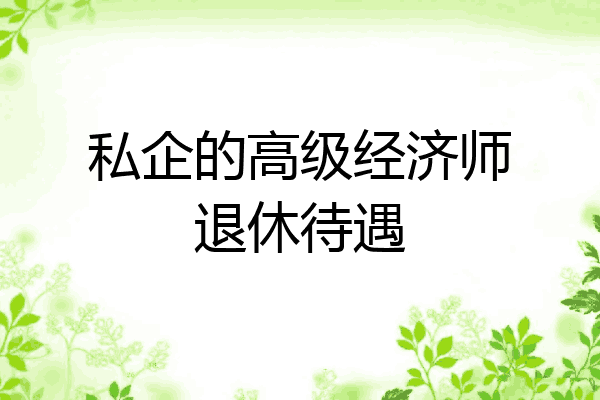 私企的高级经济师退休待遇