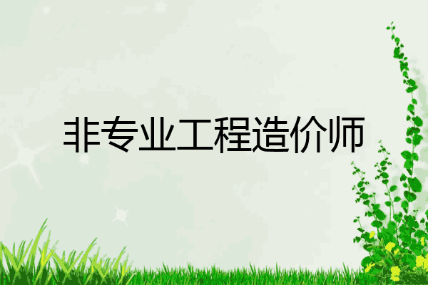 非专业工程造价师