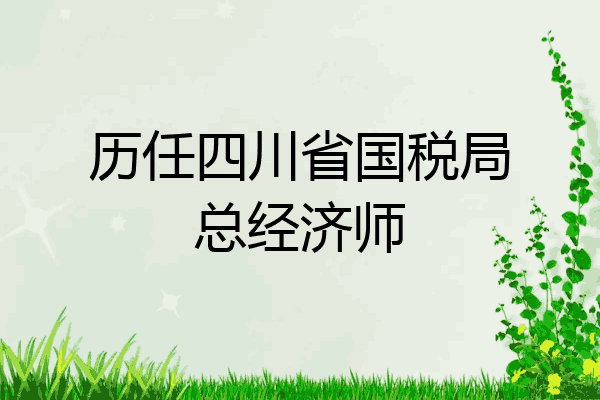 历任四川省国税局总经济师